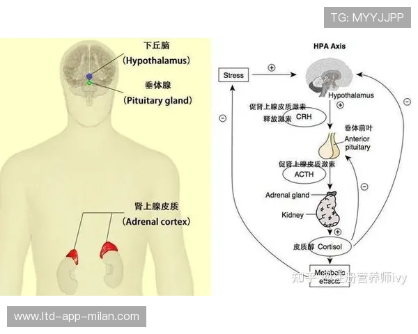 心理健康机构与体育组织共同设计青少年运动干预方案